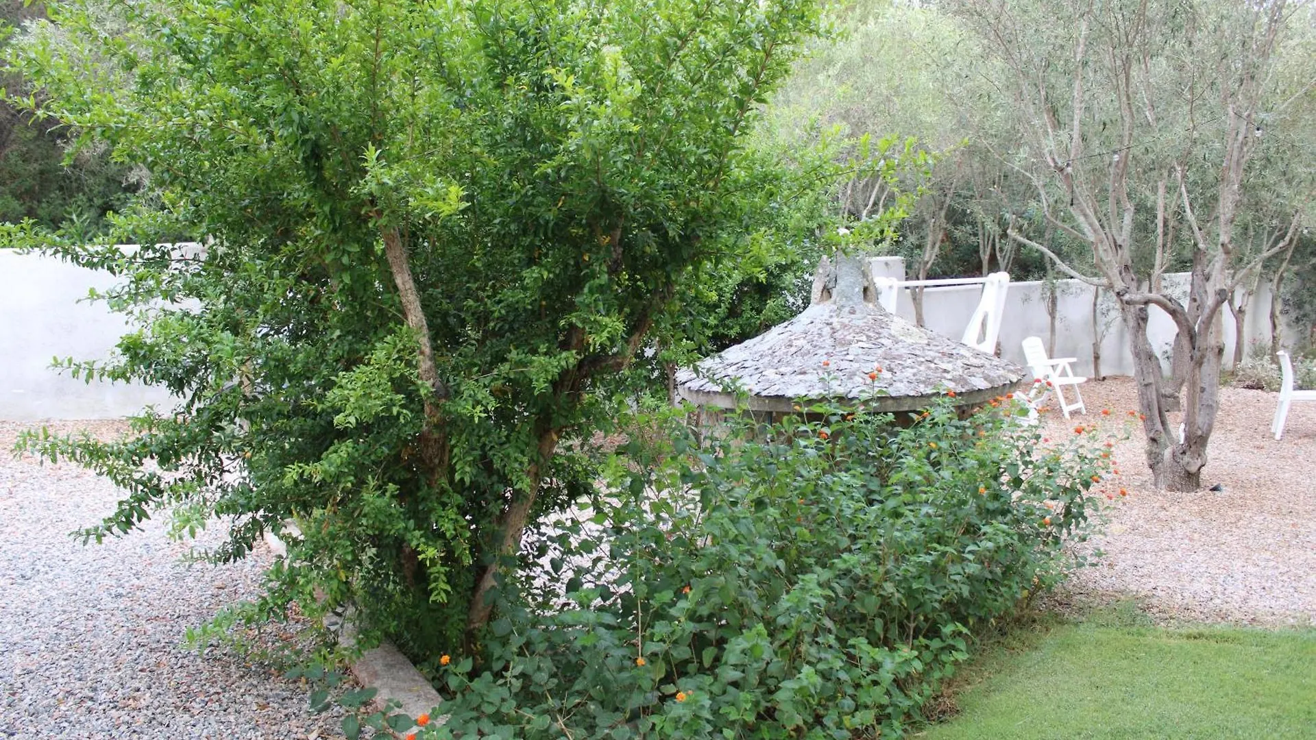 Guest house Lido Del Faro Hotel Olbia